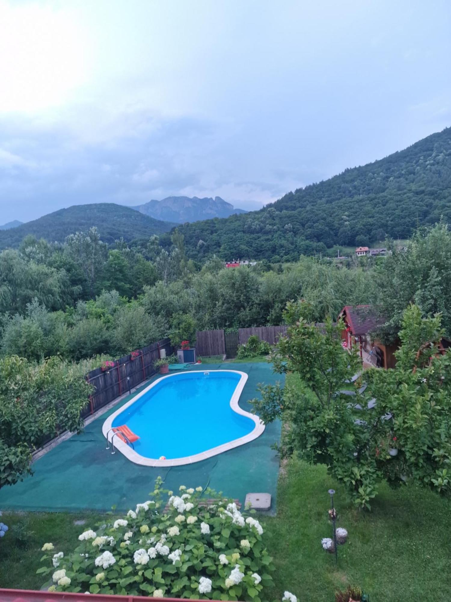 Casa De Vacanta Caciulata Værelse billede